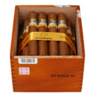 COHÍBA SIGLO VI CAJA X25 UNDS